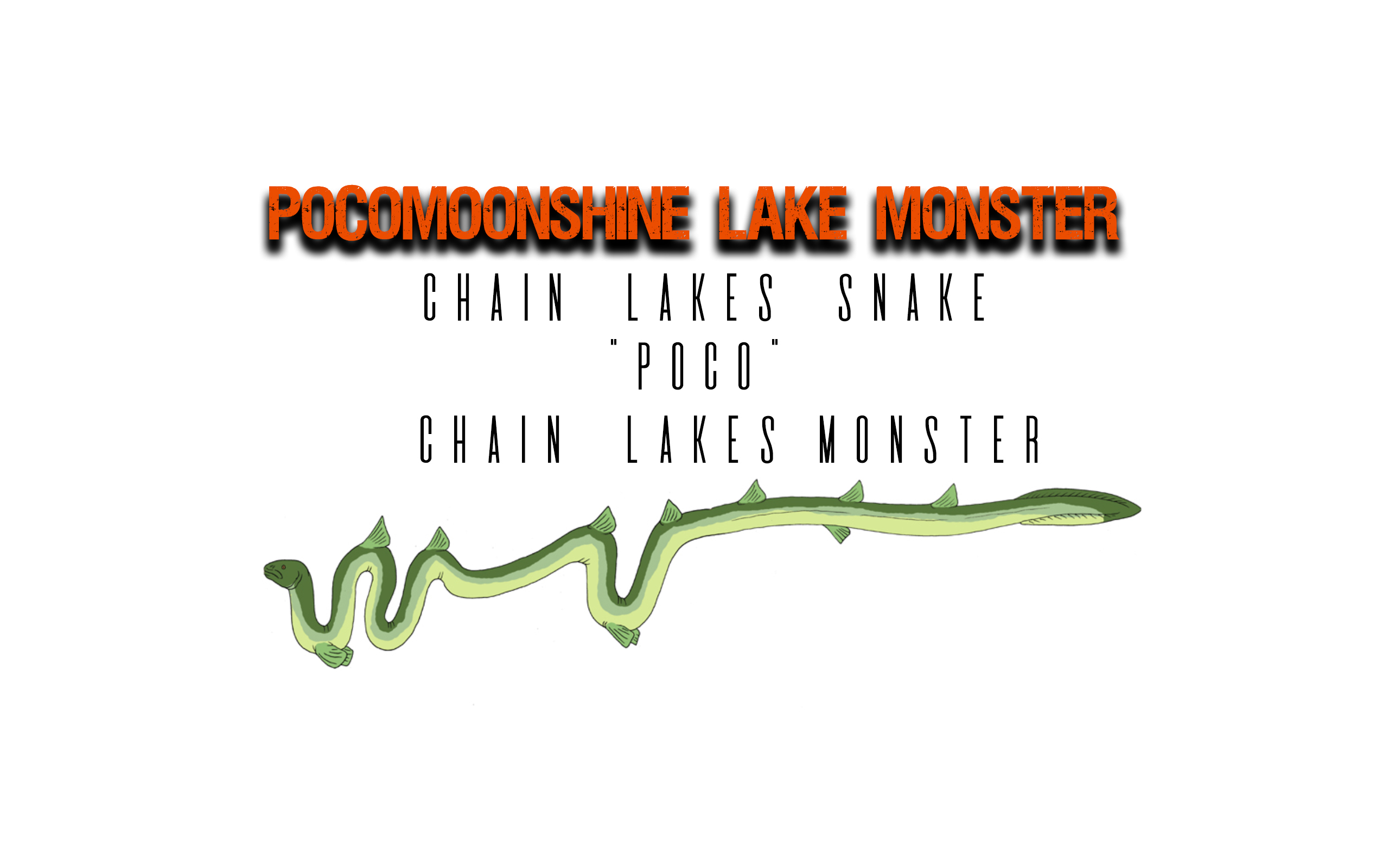 The Pocomoonshine Lake Monster